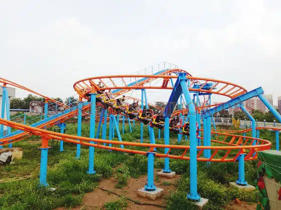 Sinorides aile roller coaster satışı 3